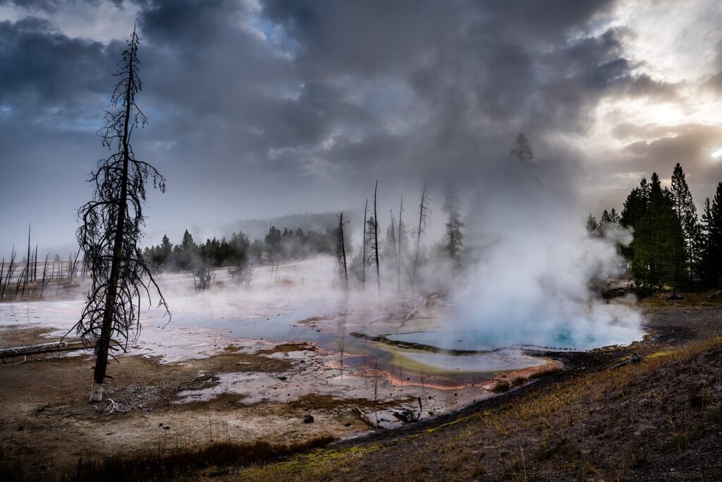 Exploring Oregons Hot Springs: Are Pets Allowed?