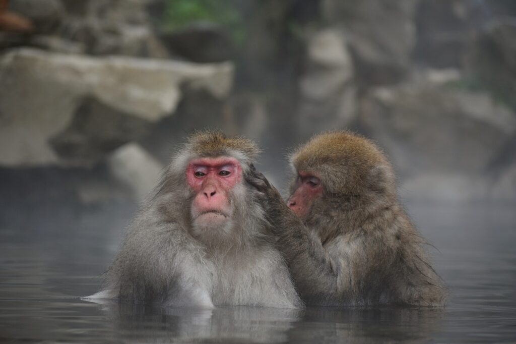 Exploring the Safety of Drinking Water from Hot Springs in Colorado