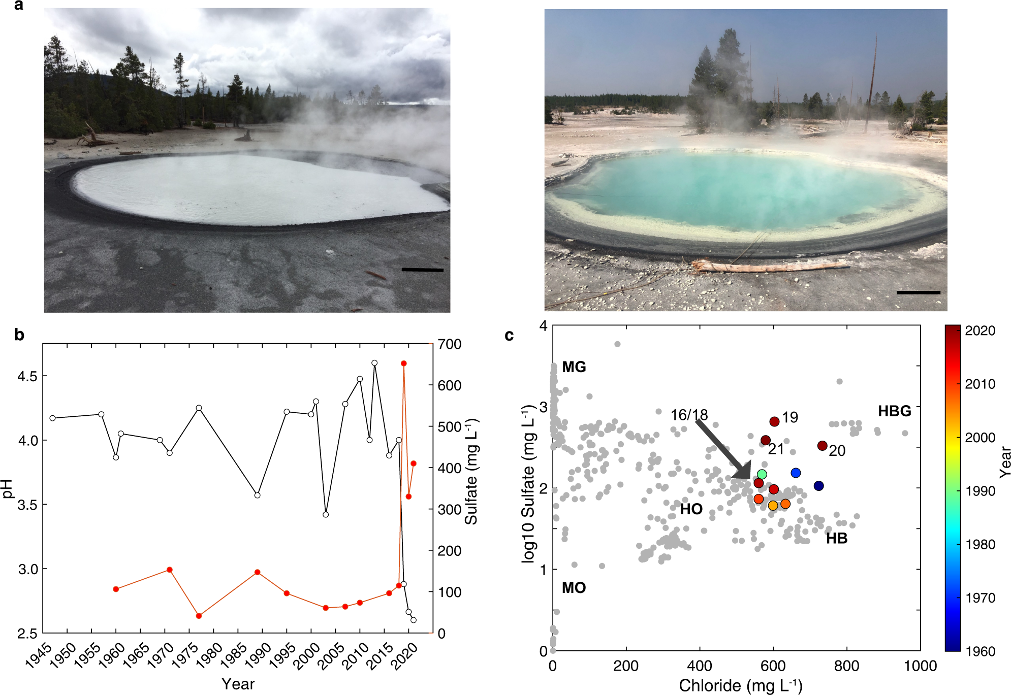 How Hot Springs Influence Local Biodiversity