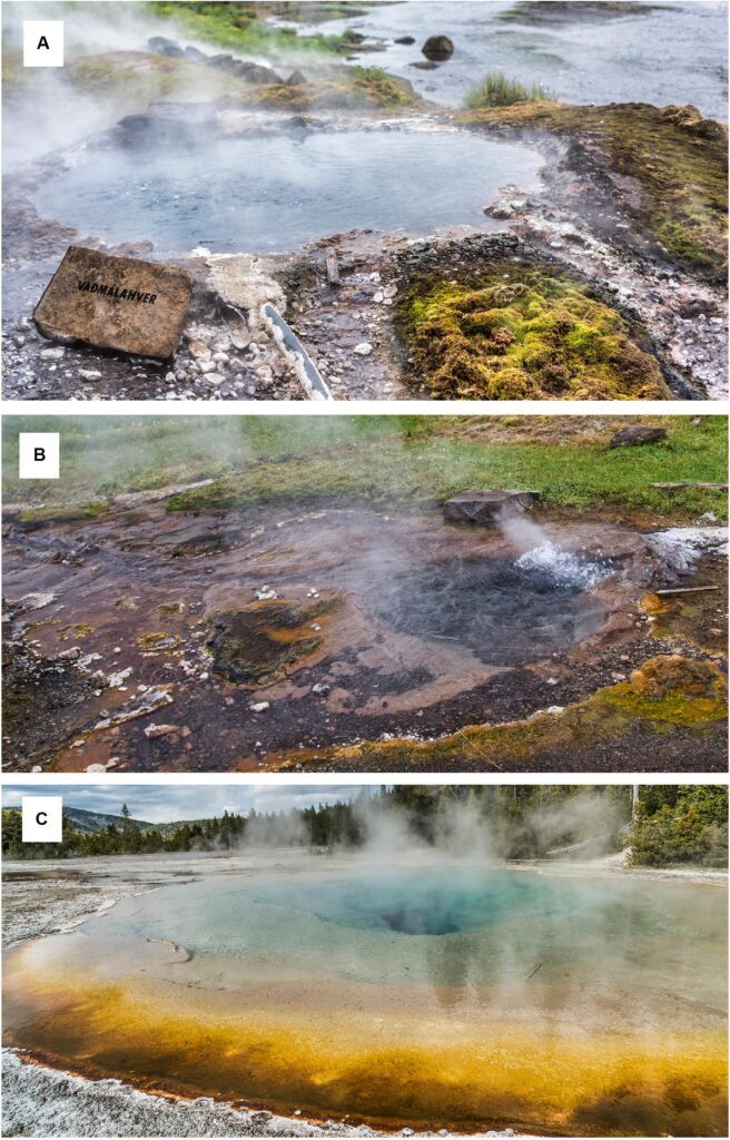 How Hot Springs Influence Local Biodiversity